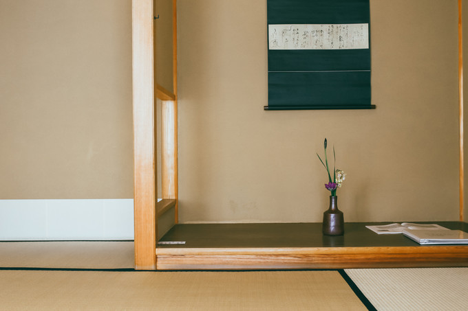 紫藤花开的季节去看锦鲤成了精，据说转发会有好运