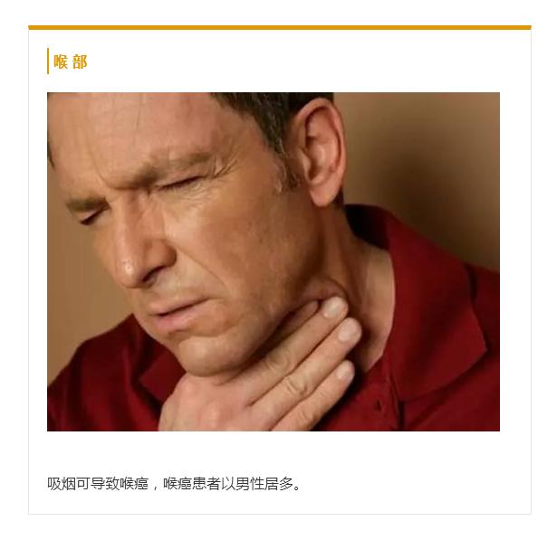 世界无烟日丨当你点燃香烟那时起，你便与魔鬼签写了契约