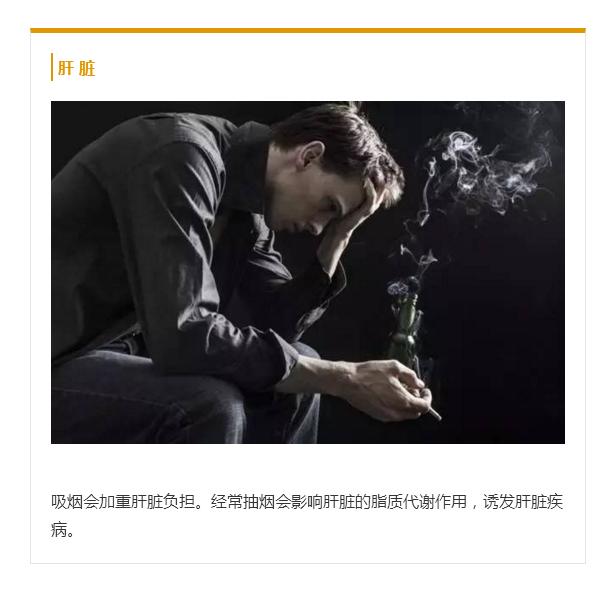 世界无烟日丨当你点燃香烟那时起，你便与魔鬼签写了契约