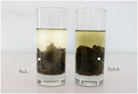 沁园净水机真的能过滤出矿物质水,沁园净水机净热一体海王系列测评