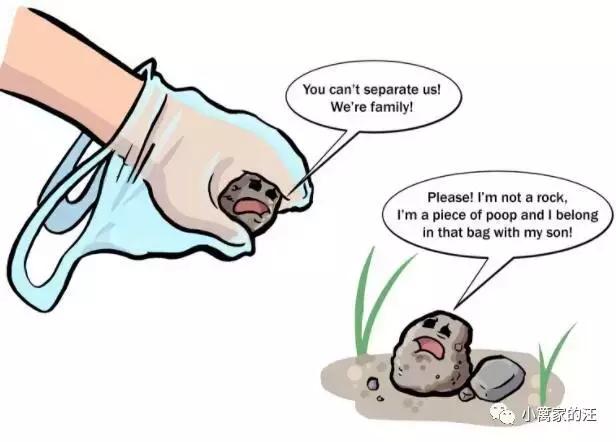 今天我们聊聊狗屎吧!