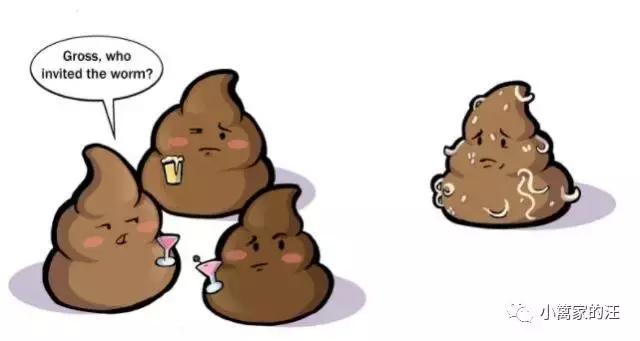 今天我们聊聊狗屎吧!