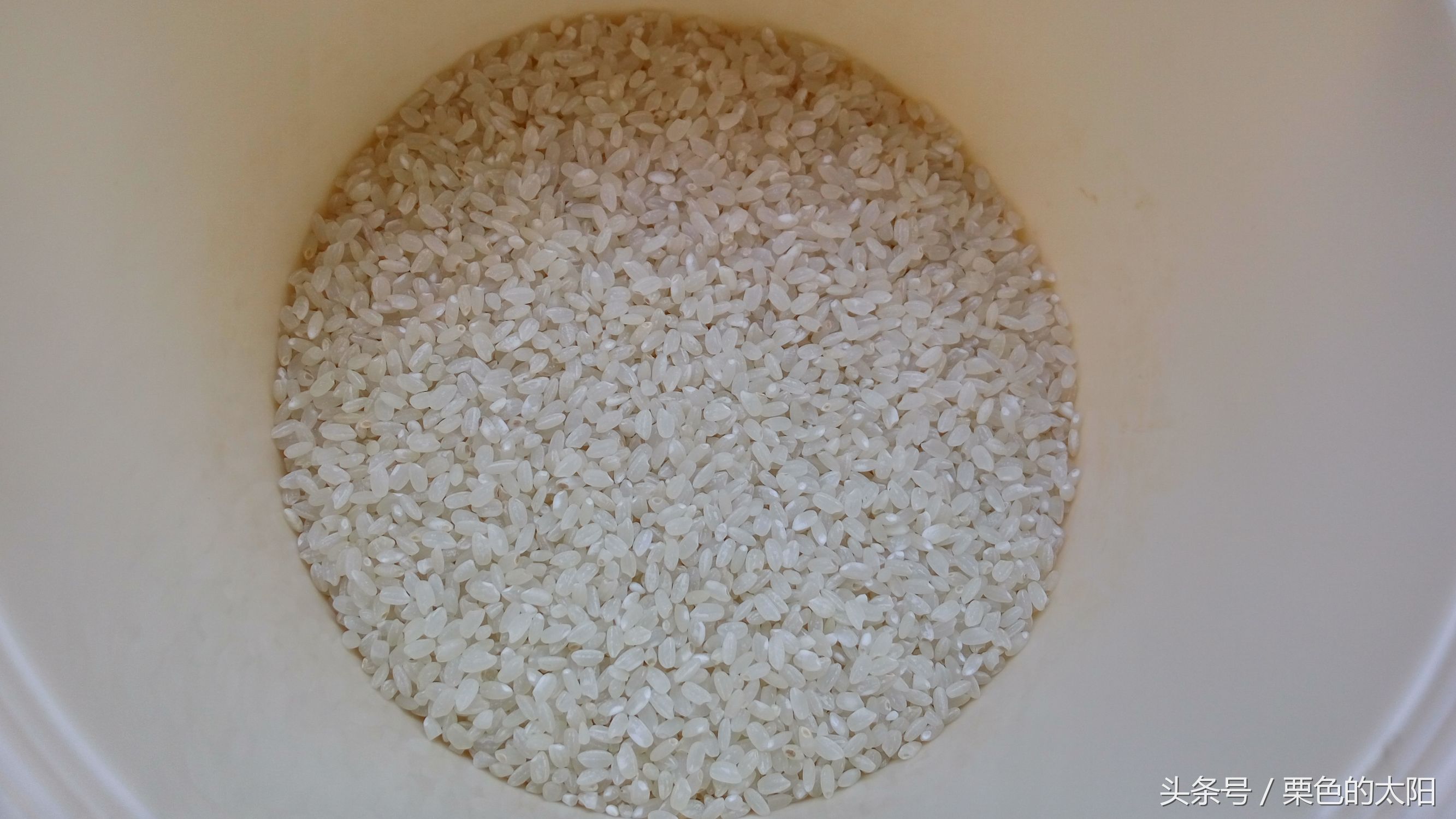 如何让陈米香糯软又好吃,新米和陈米哪个口感更软