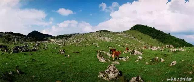 重庆约会地浪漫推荐,重庆打卡浪漫约会地住进风景里