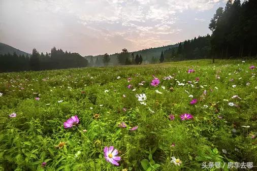 重庆约会地浪漫推荐,重庆打卡浪漫约会地住进风景里