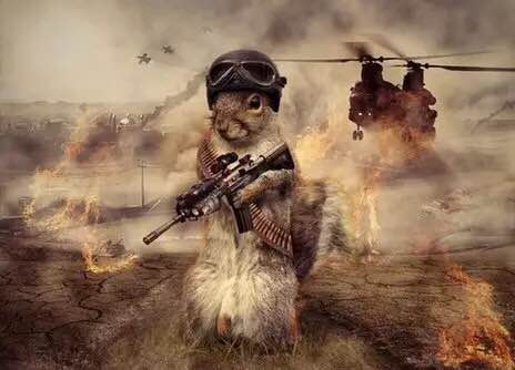 十条笑话：外面传来一个熟悉的声音：“我是你姐夫”