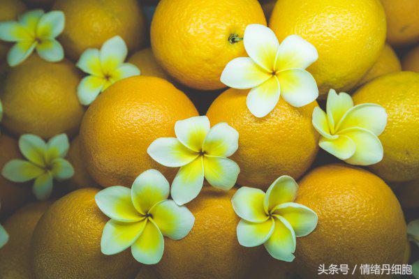 三亚亚龙湾美高梅度假酒店测评,三亚亚龙湾美高梅度假酒店电话