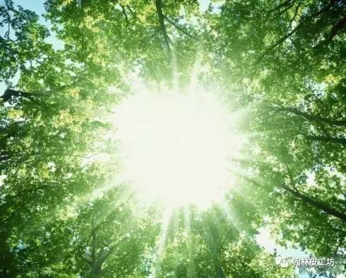 皮鞋破了为啥不能穿,皮鞋穿到什么程度就废了