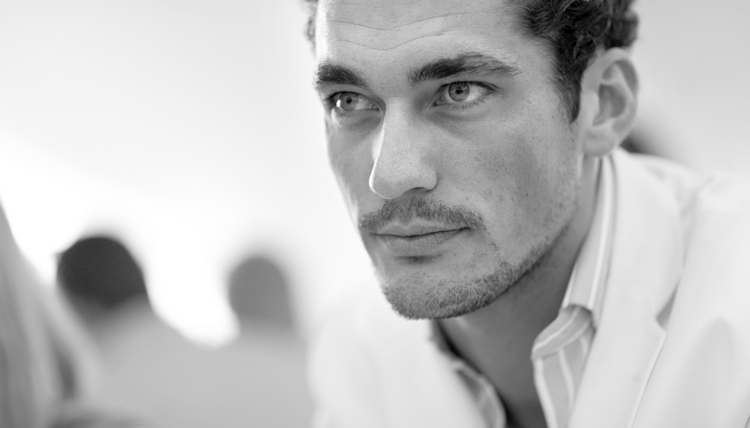 香水寻香,香水探寻