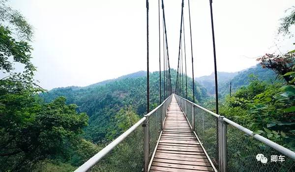 36元起！端午和陈柏霖、林依晨探索高山林海秘境，竹海漫步！