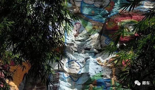 36元起！端午和陈柏霖、林依晨探索高山林海秘境，竹海漫步！