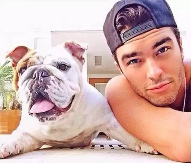 什么人不适合养英牛,都说养宠物的人情商高温柔体贴