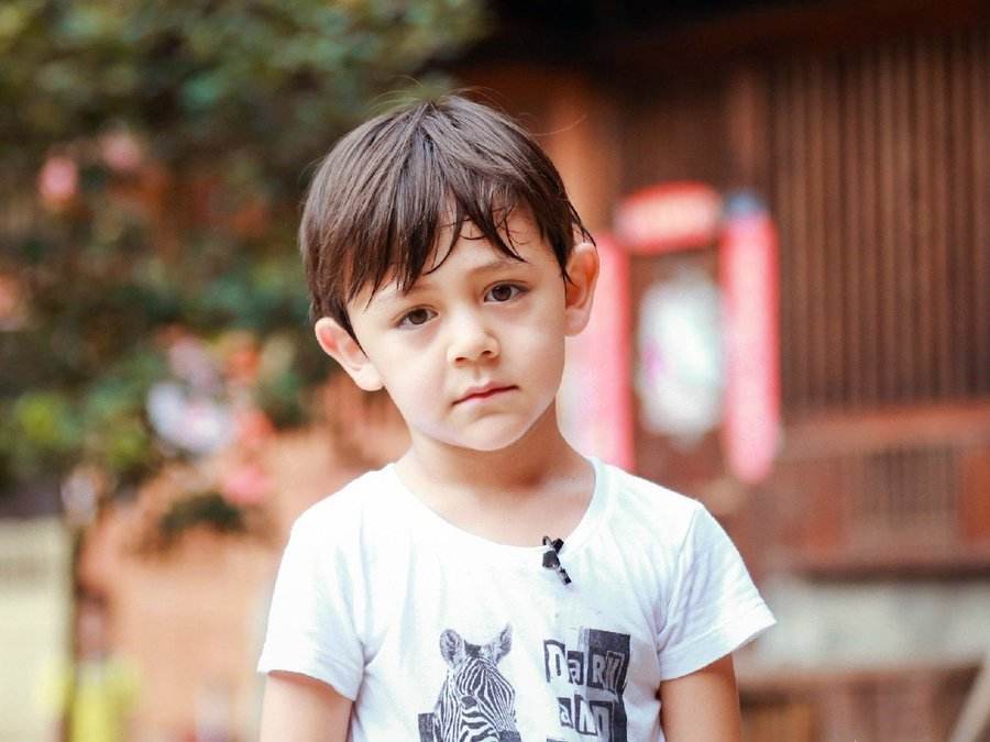 刘烨讲吉林土特产,刘烨吉林土特产代购