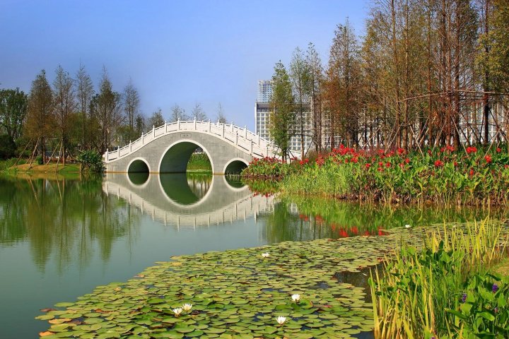 合肥｜万达文华首富在此财聚人和沾财添福他连吃三碗这个？