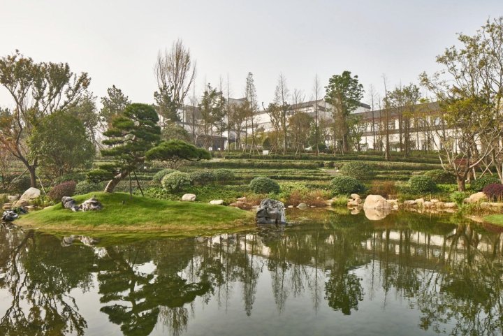 合肥｜万达文华首富在此财聚人和沾财添福他连吃三碗这个？