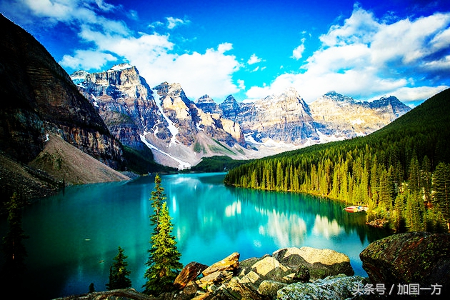 新西兰非税务居民和税务居民区别,加拿大非税务居民面临的问题