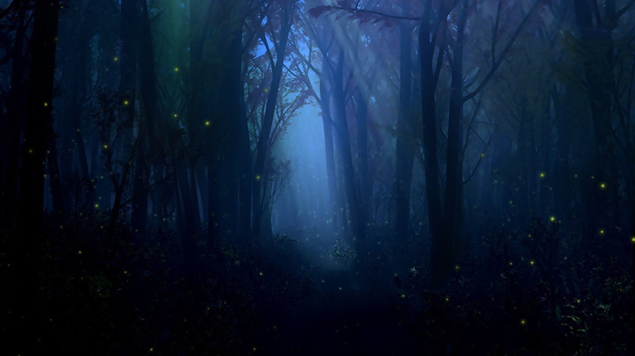 您有一封邀请函朗读,您有一封邀请函