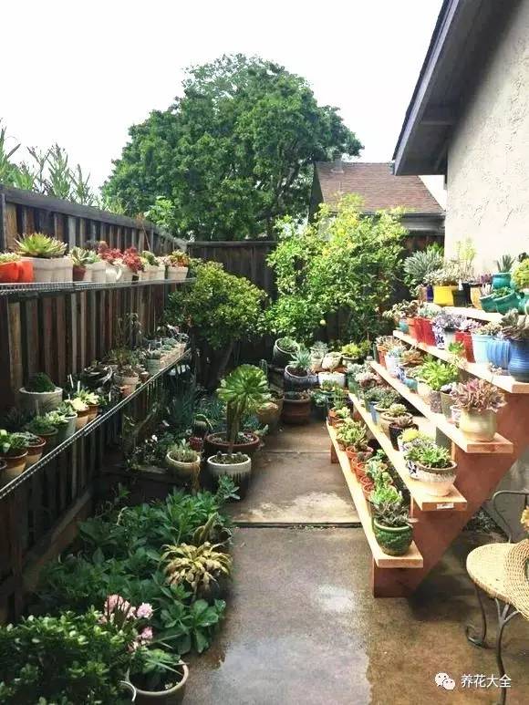 多肉有毒到底有多可怕 (各种多肉有毒吗)