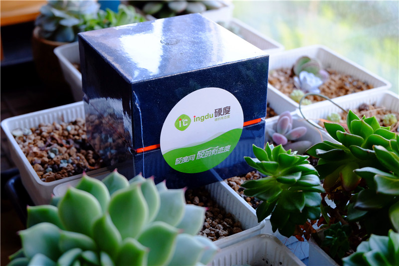 土曼智能手表2019,土曼手表功能