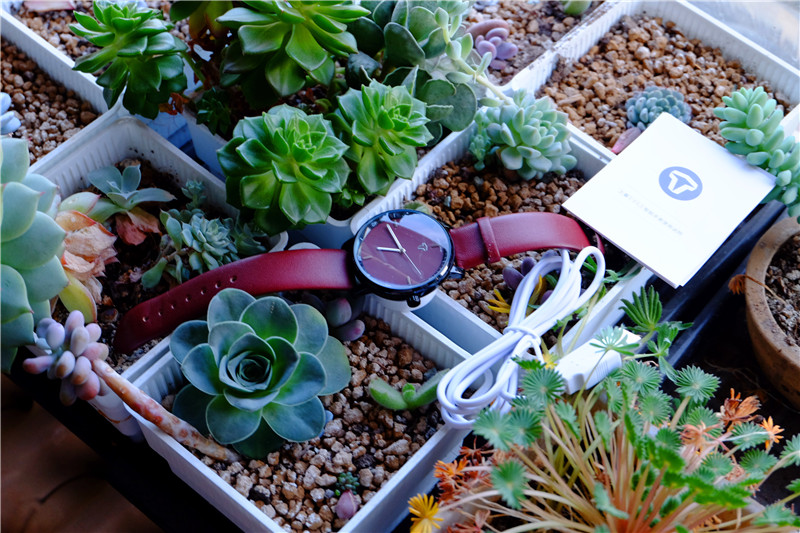 土曼智能手表2019,土曼手表功能