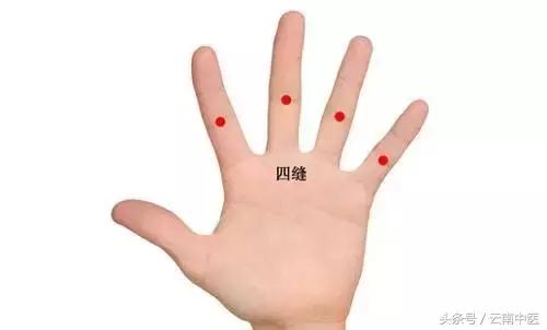 胃不好用什么泡水喝可以养胃,胃不好早上吃什么养胃又营养