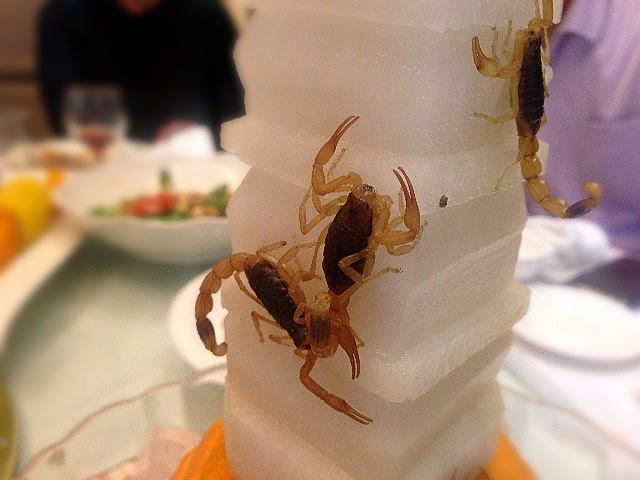 生吃活蝎方法,生吞活蛇会怎么样