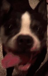 咽口水强迫症,总是想咽口水强迫症