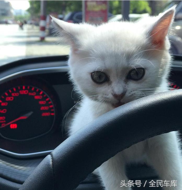 标致308动力不足,1.2t标致308动力怎么样