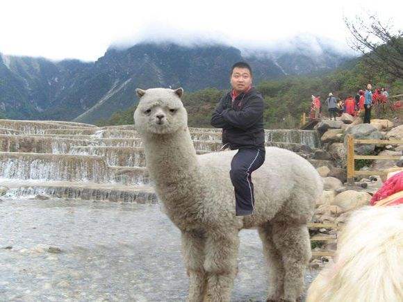 搞笑表白失败经历,女生表白失败笑话