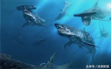 加勒比海盗5死无对证免费完整版,加勒比海盗5怎么样