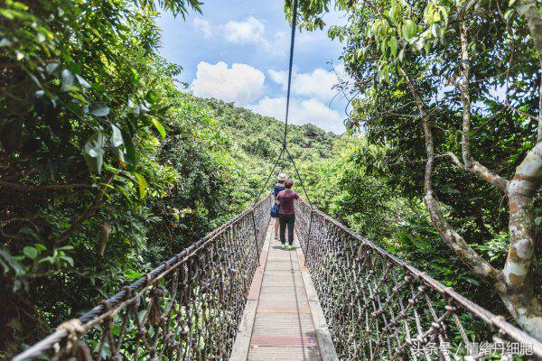 三亚亚龙湾美高梅度假酒店测评,三亚亚龙湾美高梅度假酒店电话