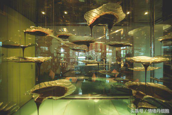 三亚亚龙湾美高梅度假酒店测评,三亚亚龙湾美高梅度假酒店电话