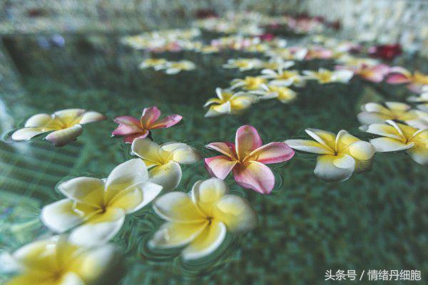 三亚亚龙湾美高梅度假酒店测评,三亚亚龙湾美高梅度假酒店电话