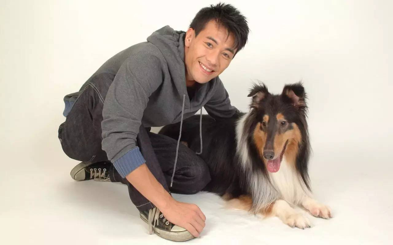 陈奕迅和杨千嬅以前有什么关系,陈奕迅和杨千嬅为什么错过