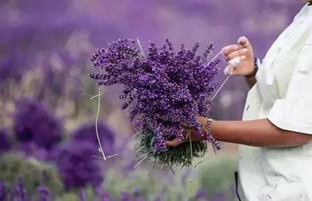 今年倒数第二天就放假了怎么回事,再坚持一天就放假了