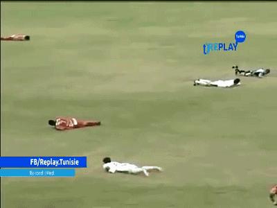 闯入足球场的动物,闯入者外国版叫什么