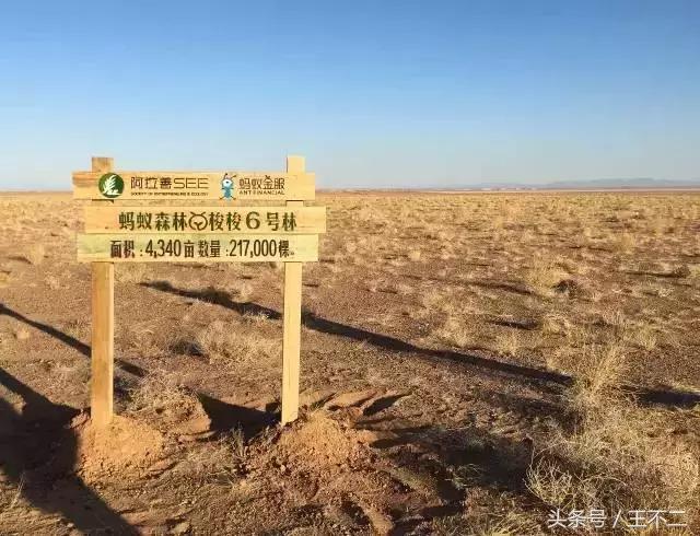 支付宝你神经病呀,再这样下去友谊的小船说翻就翻啦