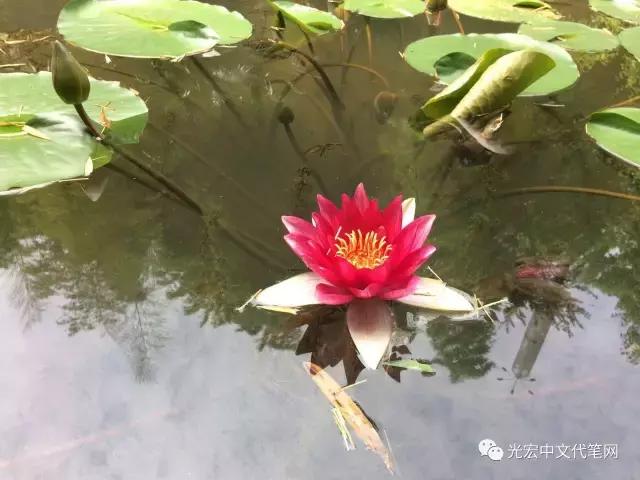 安徽铜陵永泉农庄在哪里,永泉生态农庄