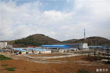 魔芋最好品种,市场价值最高的魔芋品种