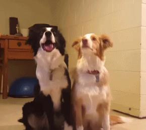 死宅的一天,死宅的居家一天