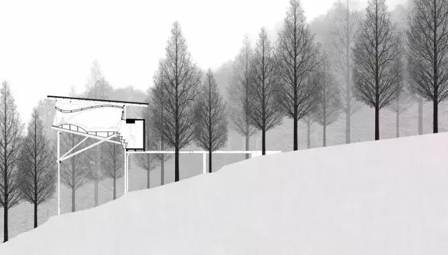 他们把3栋绝美树屋藏进了世外桃源里，用设计让你回归自然