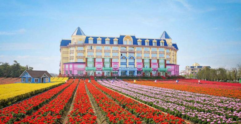 广州薰衣草公园,广州附近哪里有薰衣草看