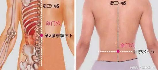 端午的九毒日是什么,端午九毒日一年中最佳的排毒时期