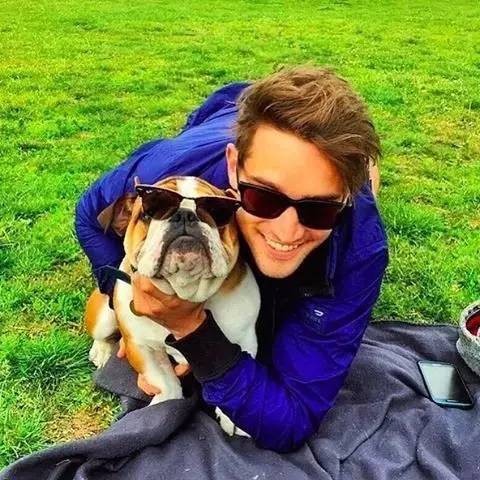 什么人不适合养英牛,都说养宠物的人情商高温柔体贴