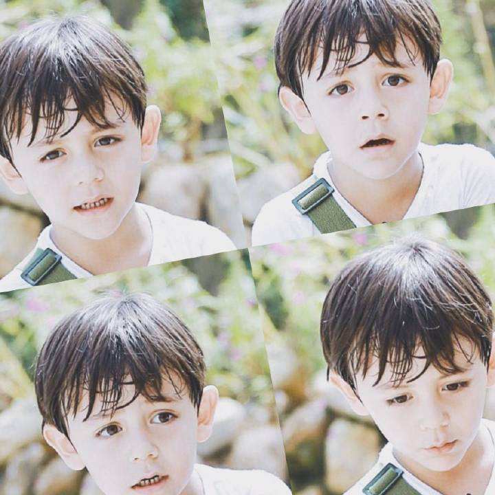 刘烨讲吉林土特产,刘烨吉林土特产代购