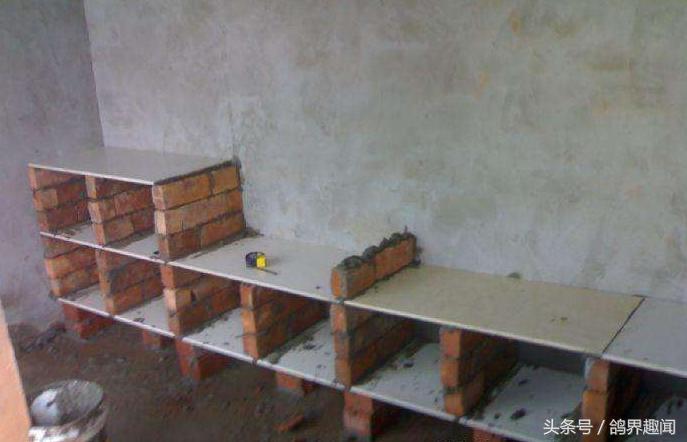 散养鸽子窝怎样搭建,废旧物品利用养鸽子