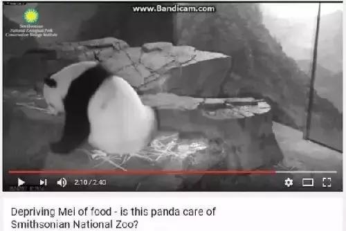 我的不靠谱家人，以及蛇、老鼠、蜥蜴、猫头鹰等其他动物