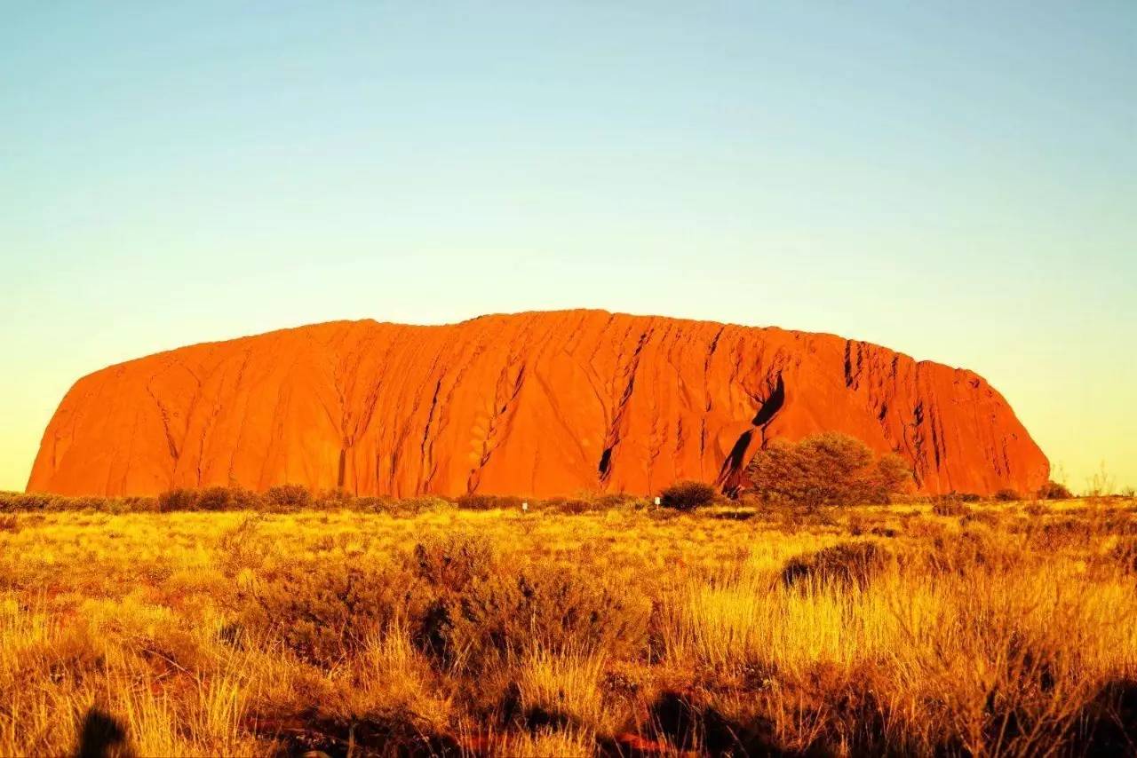 淘宝禁售app,淘宝禁售类目怎么规避