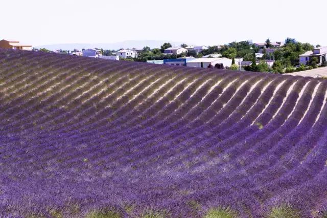 今年倒数第二天就放假了怎么回事,再坚持一天就放假了