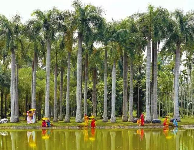 今年倒数第二天就放假了怎么回事,再坚持一天就放假了